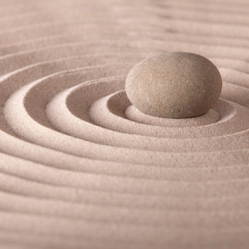 Fără titlu (500 x 500 px)