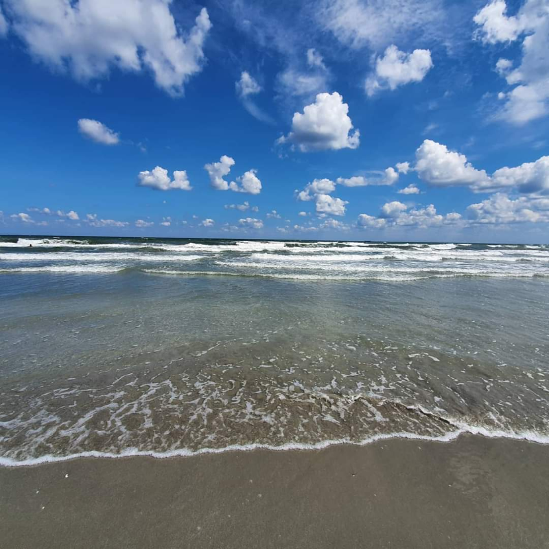 Fără titlu (800 x 800 px) (3)