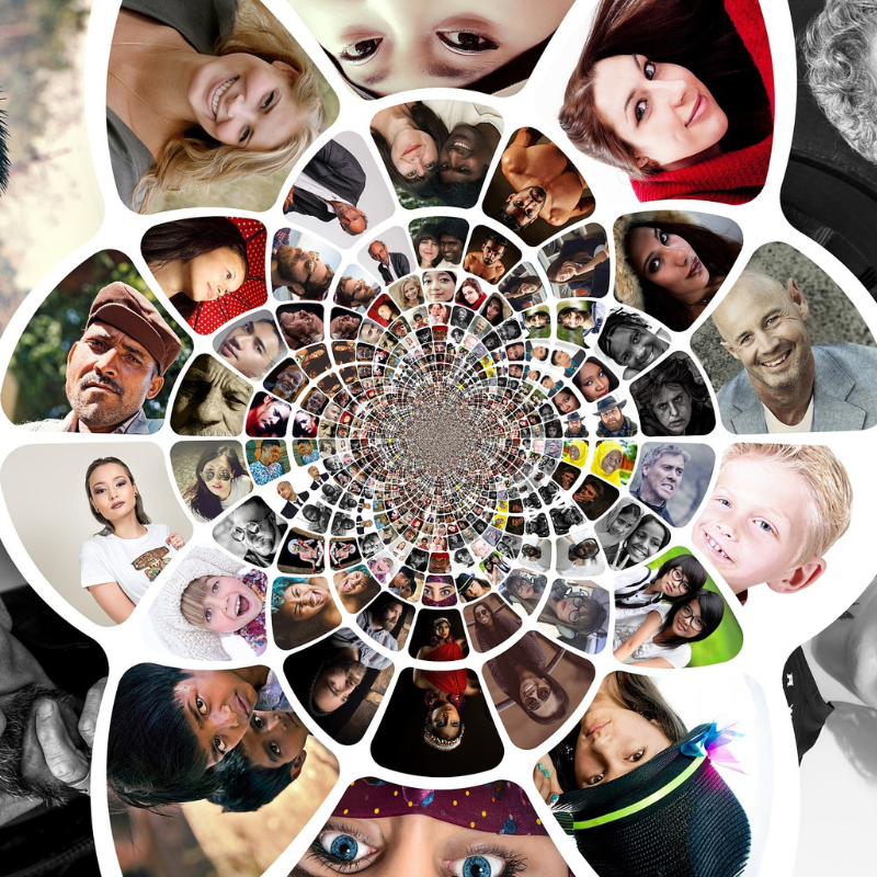 Fără titlu (800 x 800 px) (4)